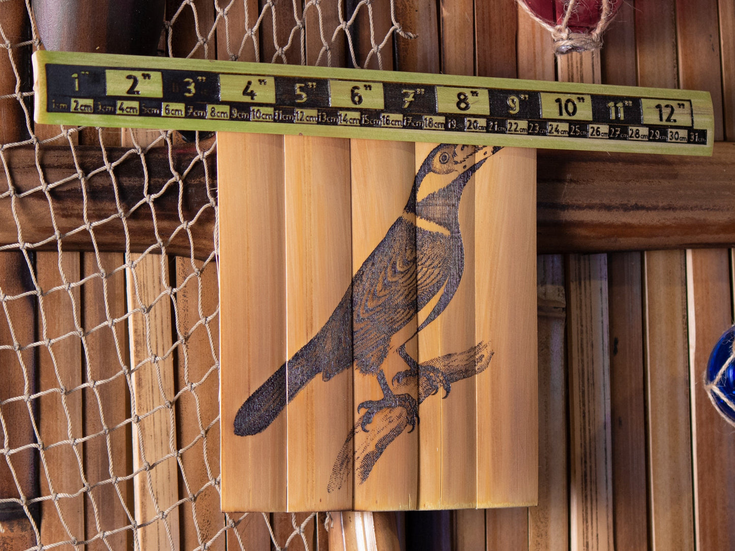 Toucan Lithograph Scientific Illustration - Laser Carved into a Bamboo Wall Hanging - Great Gift for Tropical Art Lovers - FREE SHIPPING