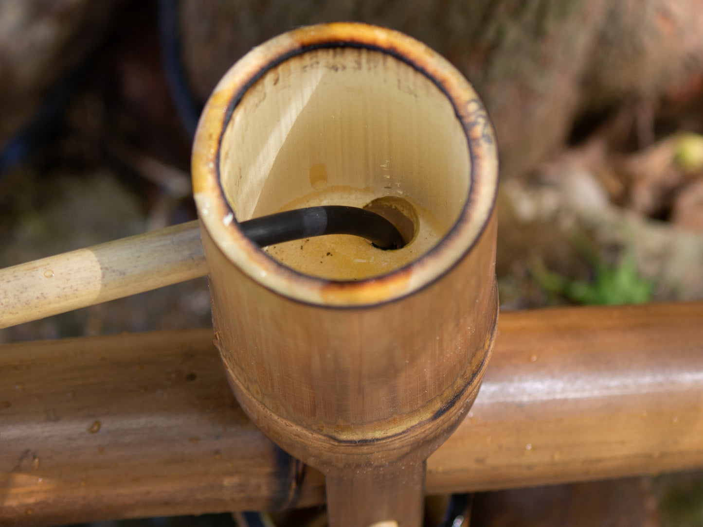 Shishi odoshi bamboo fountain