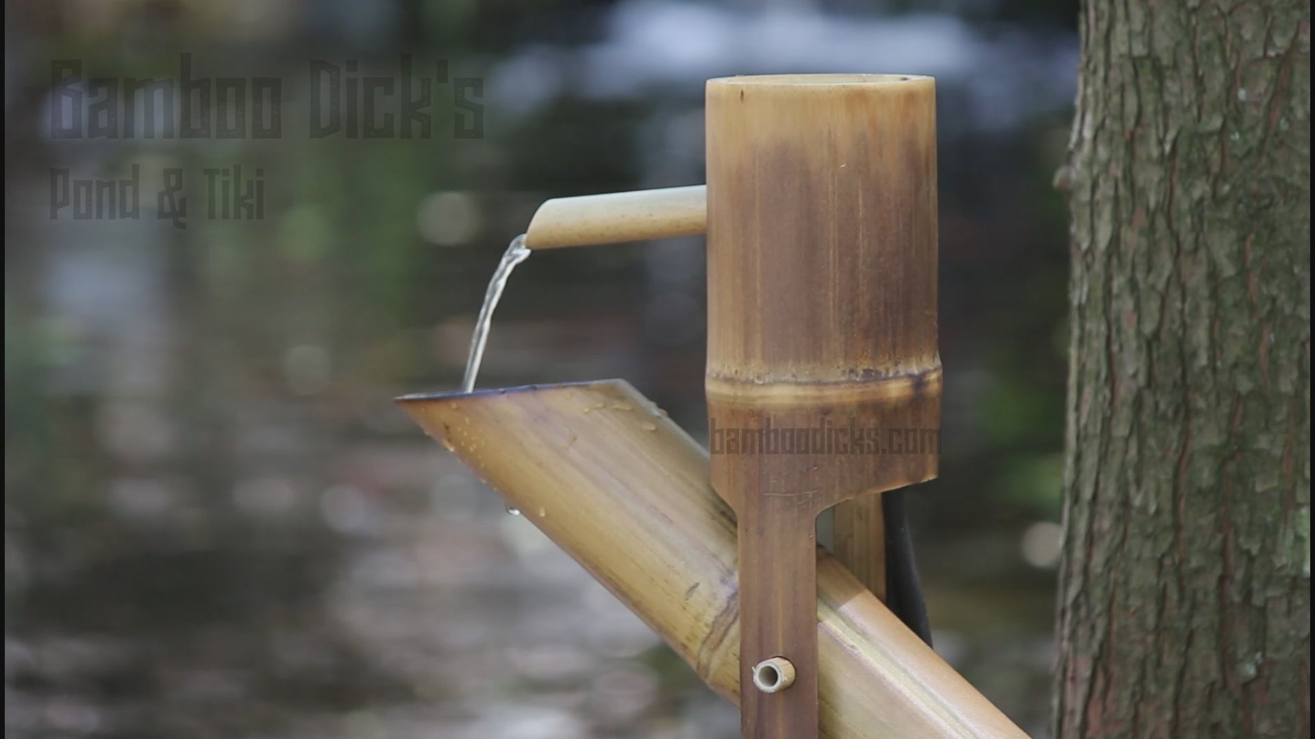 Shishi odoshi bamboo fountain